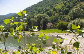 Donaustrand in Spitz, © Donau NÖ Tourismus_Barbara Elser