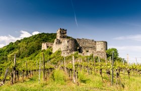 Ruine Hinterhaus, © Robert Herbst