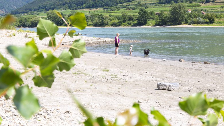 Frau, Kind und Hund am Flussufer mit grüner Landschaft im Hintergrund., © Donau NÖ Tourismus_Barbara Elser