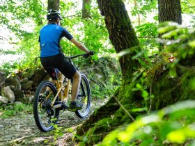 Mountainbiker auf Waldpfaden, © Donau NÖ Tourismus/Barbara Elser