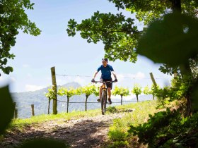 Mountainbiker hoch oben mit Aussicht, © Donau NÖ Tourismus/Barbara Elser