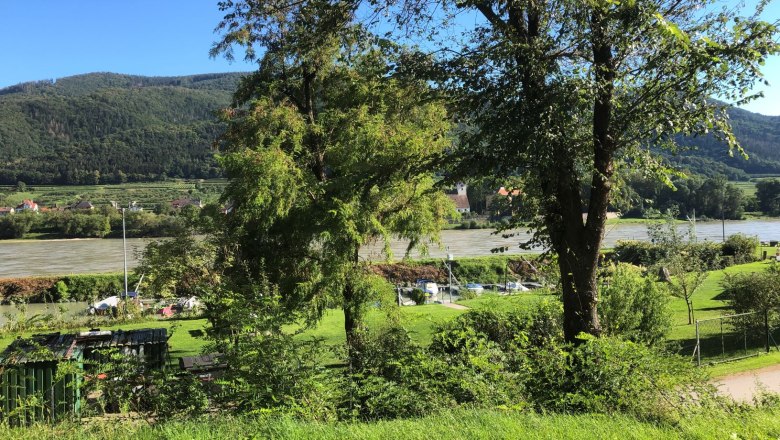 Grüne Landschaft mit Fluss, Bäumen und Hügeln im Hintergrund., © Donau NÖ Tourismus