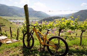 Mountainbike in Spitz abgestellt, © Donau NÖ Tourismus/Barbara Elser