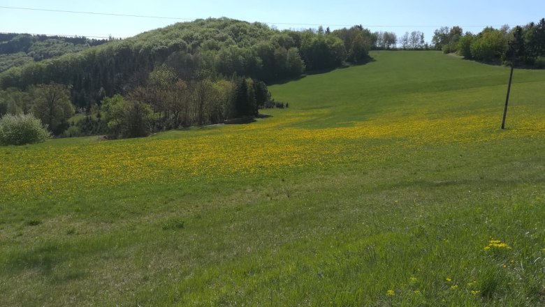 Landschaft am Jauerling, © Romana Wiener