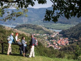 Ausblick vom Spitzer Graben, © Donau Niederösterreich/Lachlan Blair