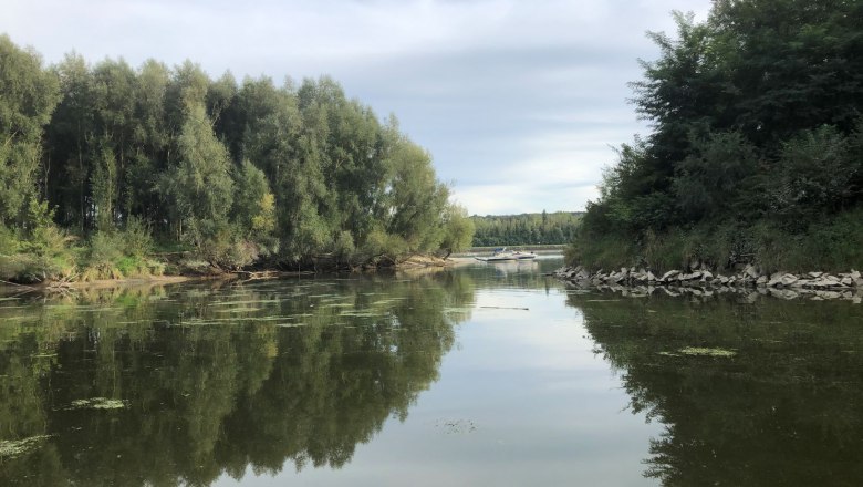 Ruhiger Fluss mit Bäumen und Boot im Hintergrund, spiegelnde Wasseroberfläche., © Donau NÖ Tourismus GmbH