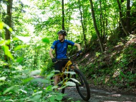 Mountainbiker im Gelände, © Donau NÖ Tourismus/Barbara Elser