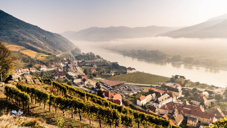 Ausblick vom Tausendeimerberg in Spitz im Herbst, © Robert Herbst