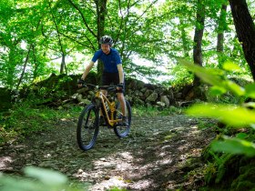 Mountainbiker am Singletrail unterwegs, © Donau NÖ Tourismus/Barbara Elser