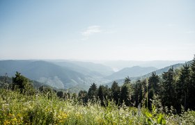 Magnificent view from the Wachau Terrace, © Martina Siebenhandl