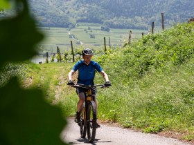 Mountainbiker mit Steigung, © Donau NÖ Tourismus/Barbara Elser