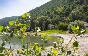 Grüne Landschaft mit Flussufer, Bäumen und einem Haus im Hintergrund., © Donau NÖ Tourismus_Barbara Elser