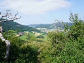 Jauerling-Runde 07: Mühldorf-Spitz, © Wachau-Nibelungengau-Kremstal