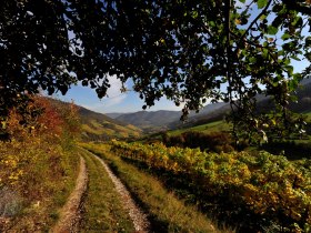 Wachau im Herbst, © Graben Gritsch/Petr Blaha