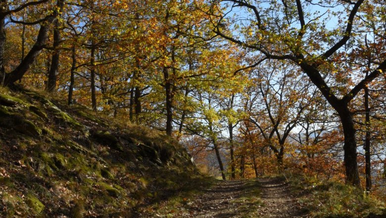 Wanderweg, © Fam. Piewald