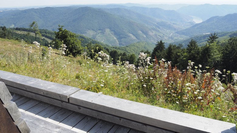 Holzbank mit Blick auf bewaldete Hügel und Tal im Sommer., © Donau NÖ/JMZ