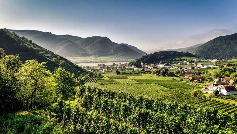 Spitz umgeben von Weingärten, © Robert Herbst