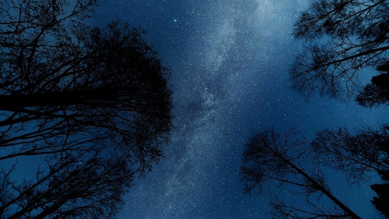 Stars and Trees Ennstal, © Simone Jungwirth