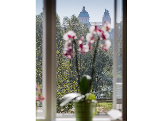 Blick aus Fenster mit Orchidee, im Hintergrund Kirchtürme und Bäume., © Haus Seegarten