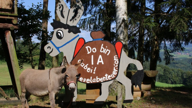 Tag des offenen Eselstalls, © Anita Brunner