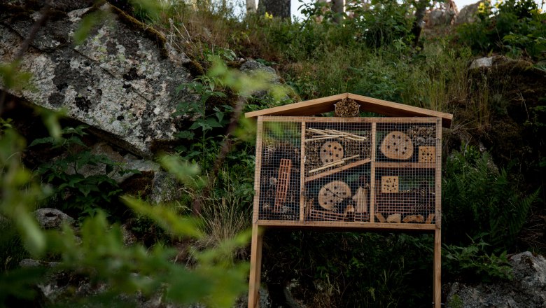 Insektetenhotel barrierefreie Aussichtsplattform Braunegg, © Aigner Christoph