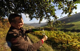 wein-wachau-herbst-nutzungsrechte-vorhanden-c-weingut-graben-gritsch-petr-blaha-60, © Petr Blaha