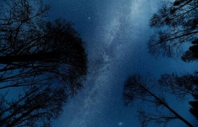 Stars and Trees Ennstal, © Simone Jungwirth