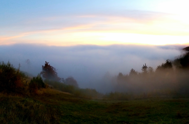 Jauerling in the fog, © Claudia Nowak